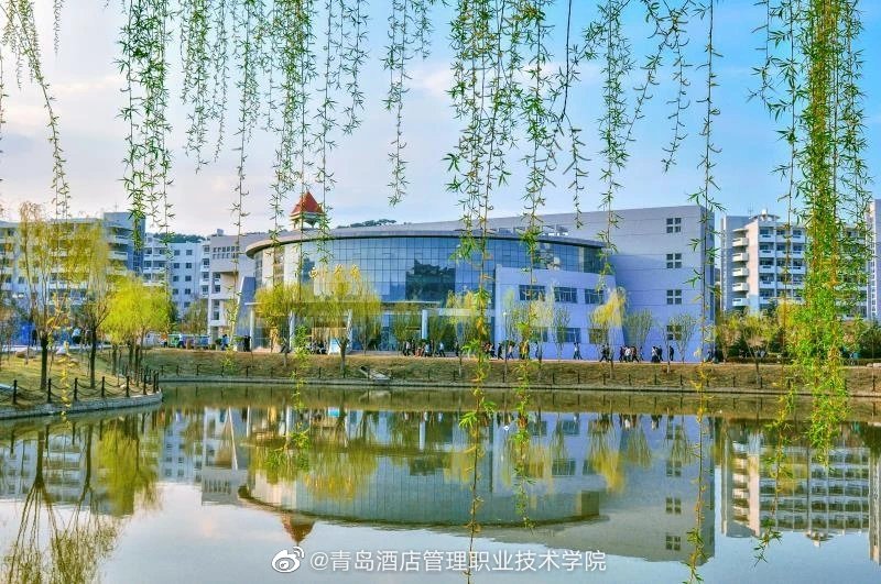 與你相約山海 青島酒店管理職業技術學院酒店管理專業探秘